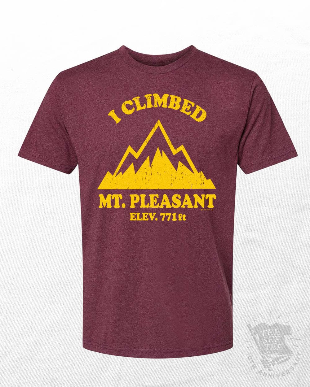 Tee See Tee Men's Apparel I Climbed Mt. Pleasant Unisex Tee | Tee See Tee Exclusive